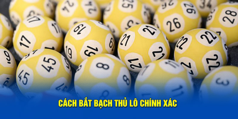 Cách bắt bạch thủ lô chuẩn xác