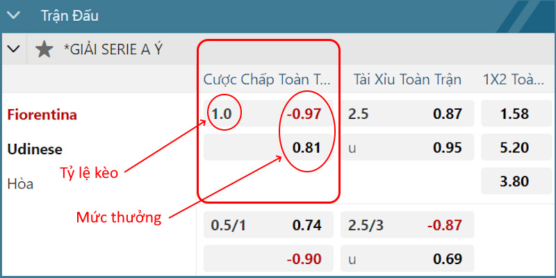 Ví dụ kèo châu Á